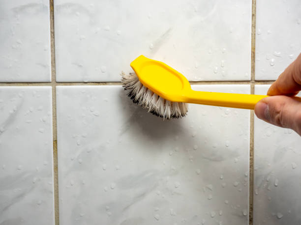 Best Fast Mold Removal  in Fairfield Bay, AR