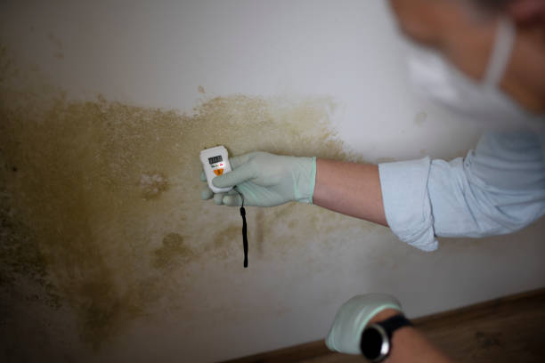 Home Mold Removal in Fairfield Bay, AR